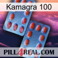 Kamagra 100 05